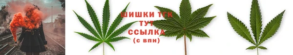 ПСИЛОЦИБИНОВЫЕ ГРИБЫ Богородицк