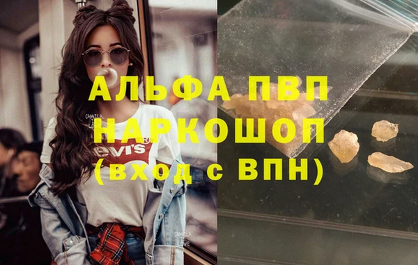 сатива Белокуриха