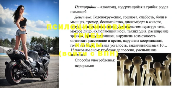 стафф Богданович
