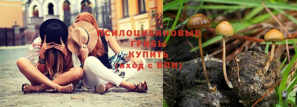ПСИЛОЦИБИНОВЫЕ ГРИБЫ Богородицк