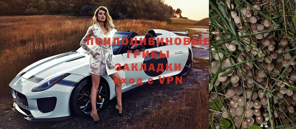 спайс Богородск